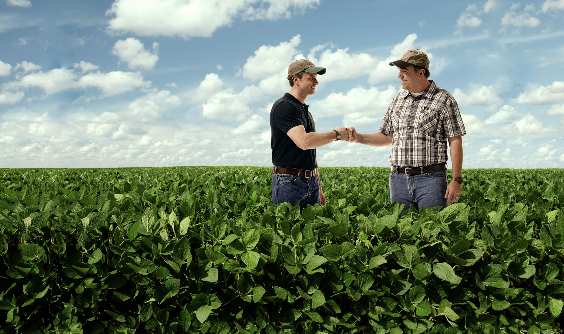 The knowing field. Пары в сельском хозяйстве это. Друзья фермеры. Собственная агрокультура. Фермер Shutterstock.